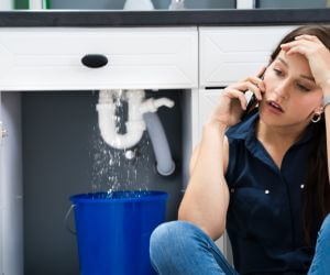 About Plumbers Pros Encino, NM